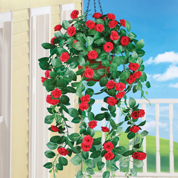 Primrue Cascading Roses Hanging Basket & Reviews Wayfair